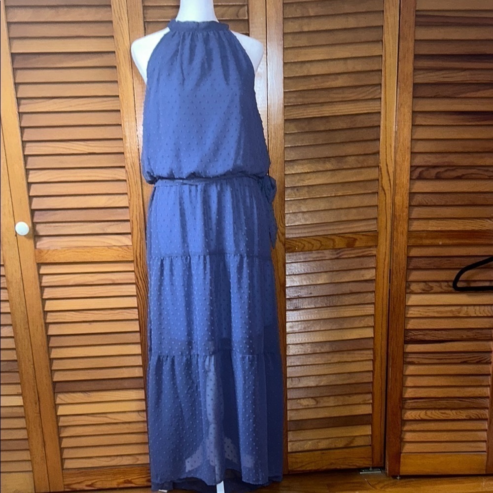 NWT Pretty Garden Elegant Blue Halter Maxi Dress Size Large - Picture 2 of 10